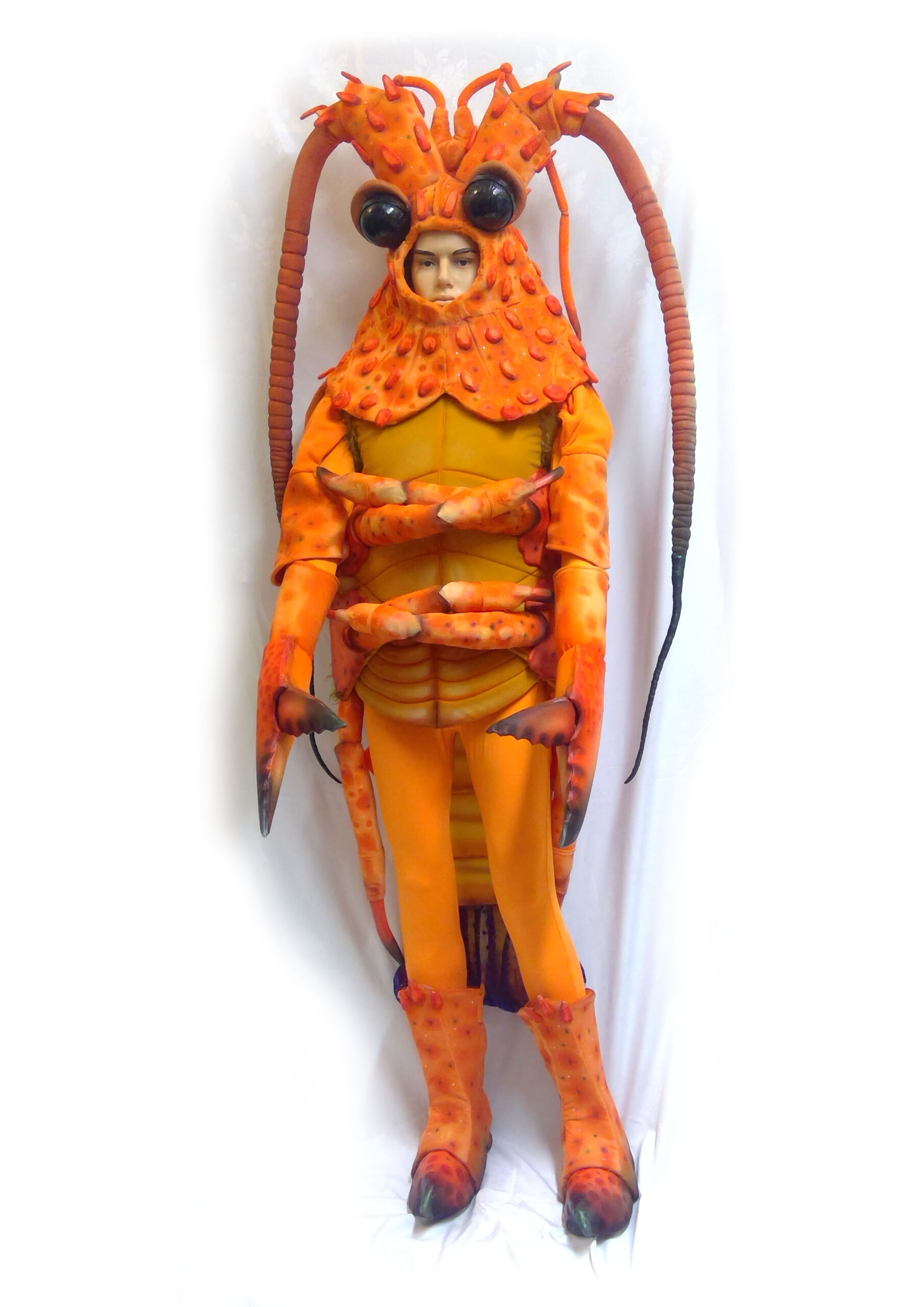 Cray: Photograph of a crayfish costume fit to a mannequin.